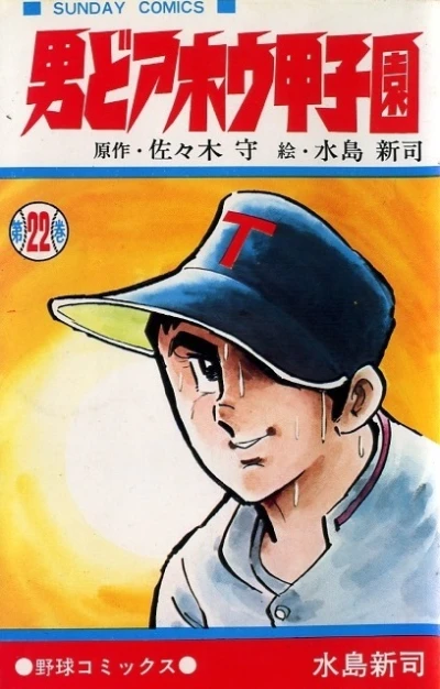 Cover of Vol. 22