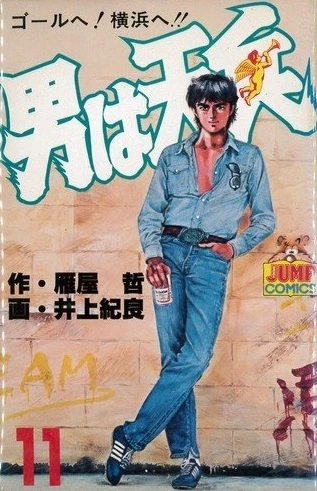 Cover of Vol. 11