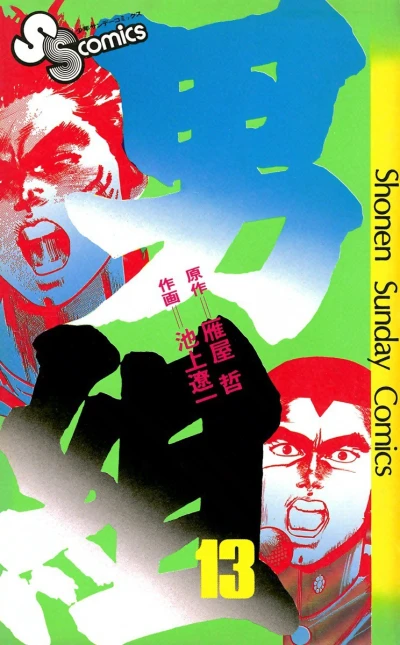 Cover of Vol. 13
