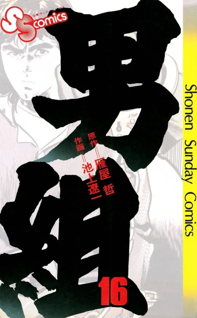 Cover of Vol. 16