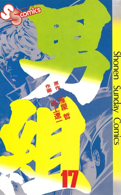 Cover of Vol. 17