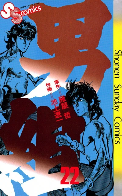 Cover of Vol. 22