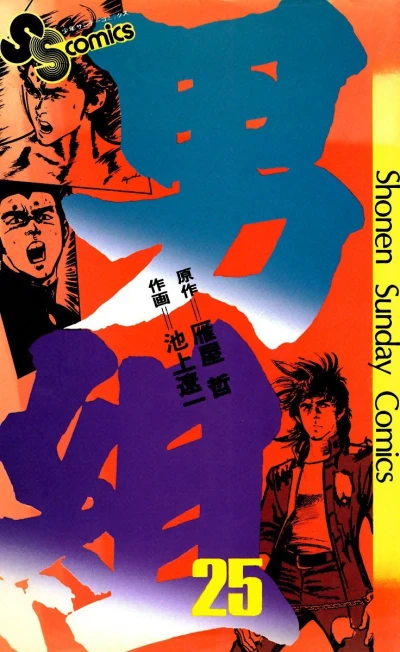 Cover of Vol. 25