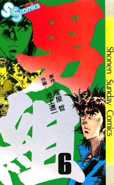 Cover of Vol. 6