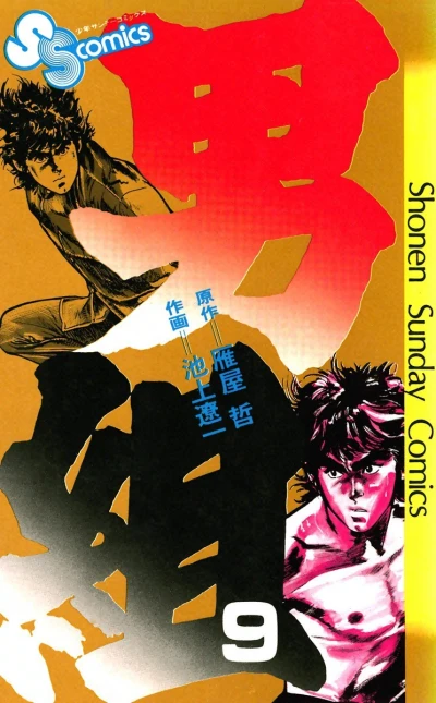 Cover of Vol. 9