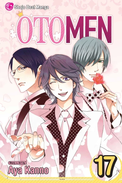 Cover of Vol. 17