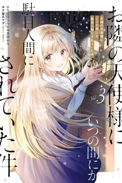 Vol. 3