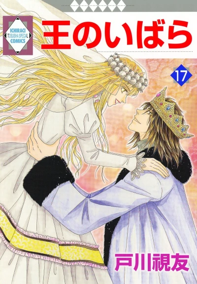 Cover of Vol. 17