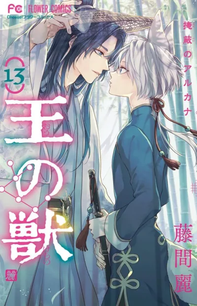 Cover of Vol. 13