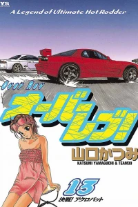 Vol. 13