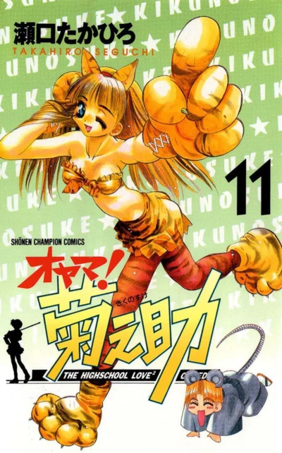 Cover of Vol. 11