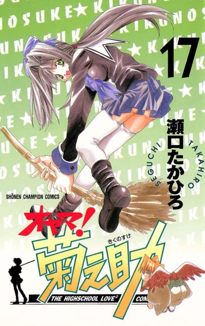 Cover of Vol. 17