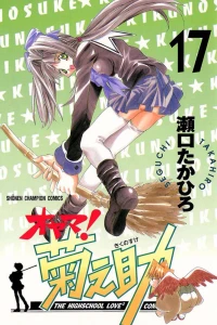 Vol. 17