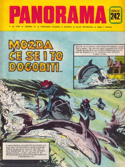 Cover of Issue #242