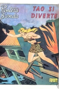 Tao si Diverte