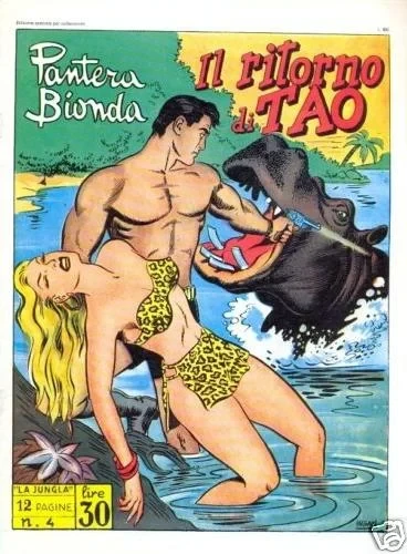 Cover of Il Ritorno di Tao