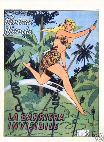Cover of La Barriera Invisibile