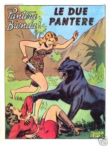 Cover of Le Due Pantere