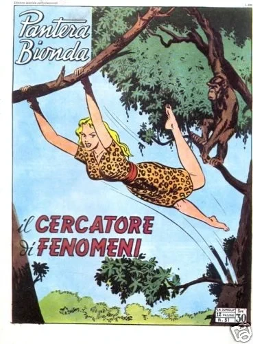 Cover of Il Cercatore di Fenomeni
