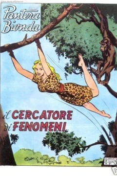 Il Cercatore di Fenomeni