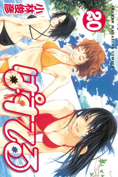 Cover of Vol. 20