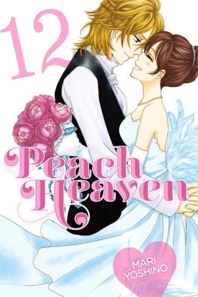 Cover of Vol. 12