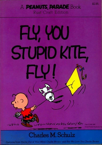 Cover of Fly, You Stupid Kite, Fly!