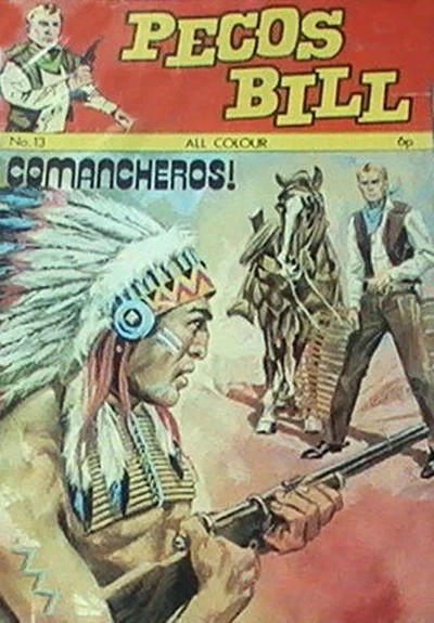 Cover of Issue #13