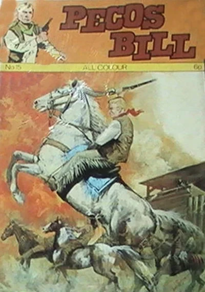 Cover of Issue #15