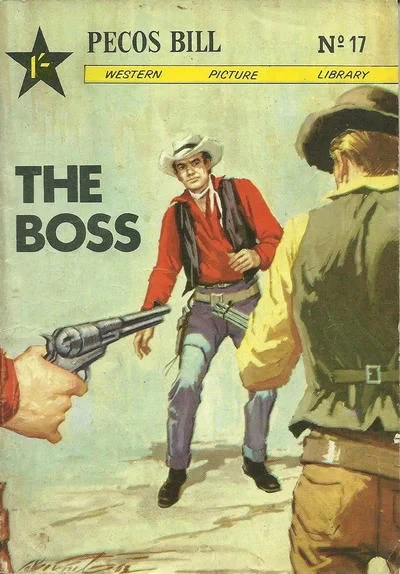 Cover of Issue #17