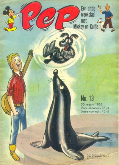 Cover of Issue #196313