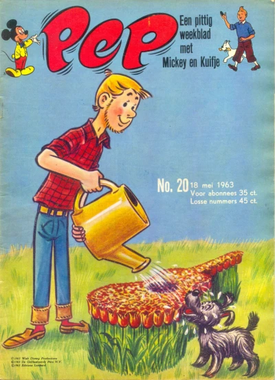 Cover of Issue #196320