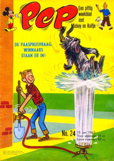 Cover of Issue #196324
