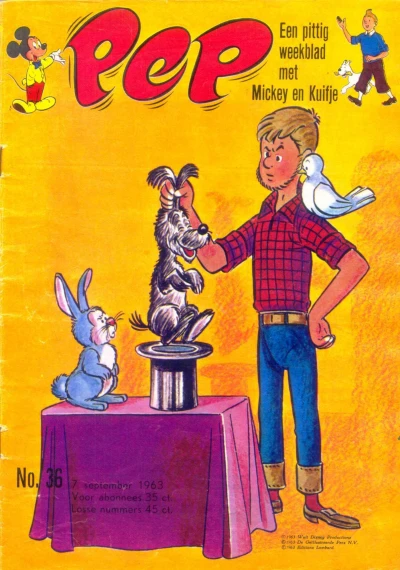 Cover of Issue #196336