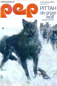 Pittah de grijze wolf