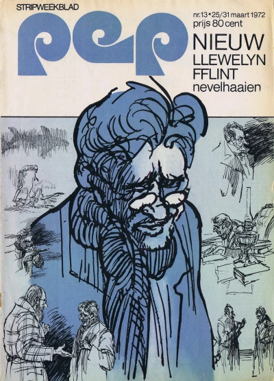 Cover of Llewelyn Fflint