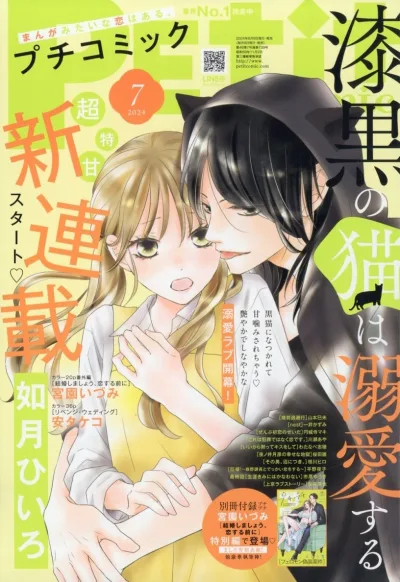 Cover of No. 7, 2024
