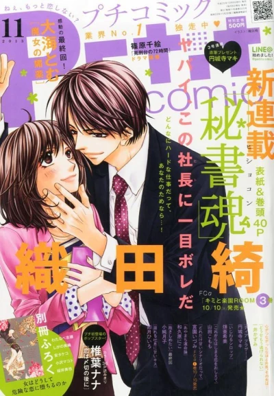 Cover of No. 11, 2013