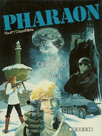 Cover of Le cerveau de glace