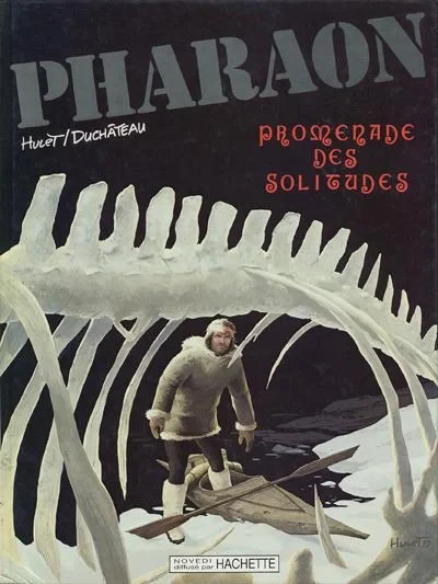 Cover of Promenade des solitudes