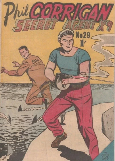 Cover of Issue #29
