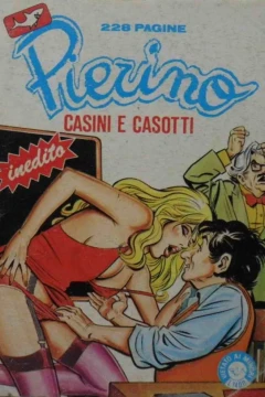 Casini e casotti