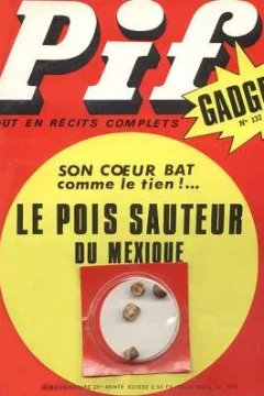 Le Pois Sateur du Mexique (137)