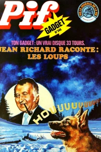 Un vrai disque 33 tours (346)
