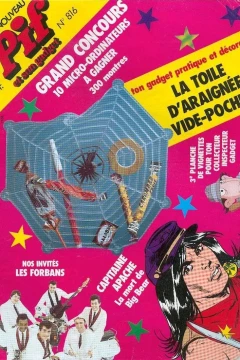La Toile D'Araignée Vide-Poches (816)