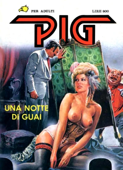 Cover of Una notte di guai