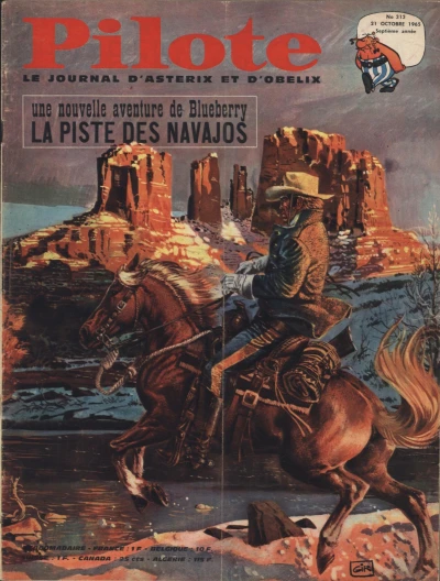 Cover of Volume #313