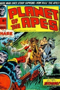 Issue #11