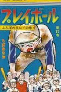 Vol. 17