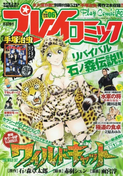 Cover of No. 6, 2010